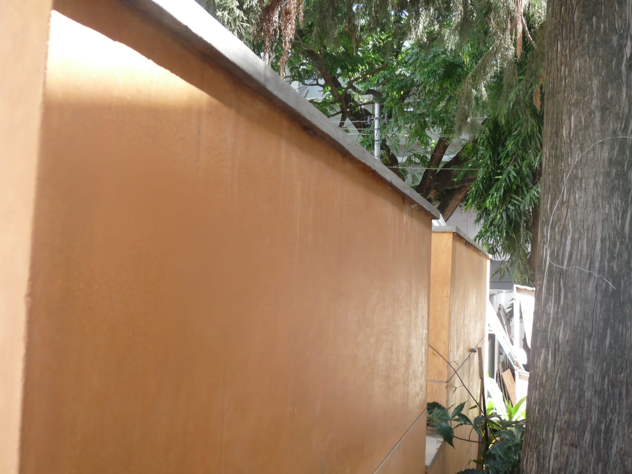 IMG-20240316-WA0029
